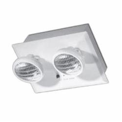 EXIT-RM6-18-T0609-2-W-TD EXITRONIX RECESSED 2 HEAD EBU WHITE WITH TIME ...